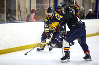 Motor City Mayhem vs Central Illinois