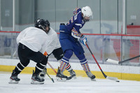 Fighting Saints vs Bowfin