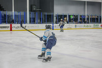 Game 5  Cyclones vs Daytona