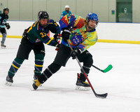 Waukegan vs. Carly's Crew 2