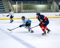 Screaming Eagles vs Mall People