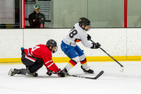 Bolts vs Windy City Woodpuckers 2