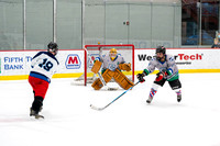 Chicago Puck O'Holics vs Chilliana