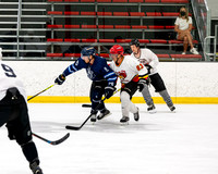 Buffet Boys vs Windy City Wood Puckers 1