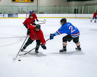 Light the Lamp Brewery vs Scotts Tots