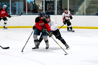 Steny's Vs Replacements
