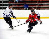 Labatt Blue vs Wood Puckers 1