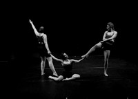J. Lindsay Brown Group Project