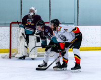 Mighty Ducks vs Allegedly