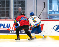 Nathan's Warriors vs Habs for Autism