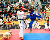 Board Breaking and Black Belt Demos