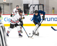 Waukegan FD vs Vertex Properties