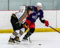 Riverhorse vs Cheap Skates