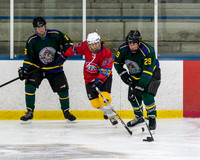 Waukegan FD vs Habs for Autism
