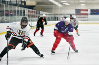 11:30am Golden Mounties vs B-Man's Hitmen