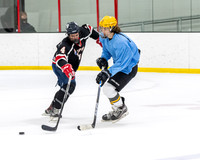 Moose Piledrivers vs Bolts