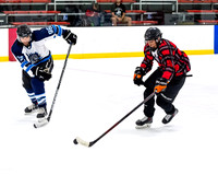 Chicago Puck-o-holics vs Don Cherrypickers