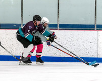 Mighty Pucks vs Tuckers Team