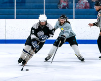 Tuckers Team vs Cheap Skates