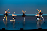 Dance of the Harlequins