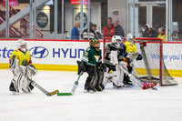 Goalie 1:30pm Mites&Squirts