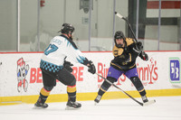 Friday_640pm_Bowfin_vs_Crickets
