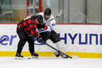Saturday_11am_VertexProperties_vs_ChicagoMouthyMercsD