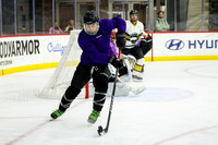 Saturday_12pm_ChicagoDogs_vs_IceUnicorns