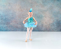 Joy Willitz