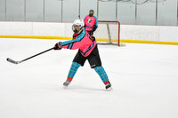 Mighty Pucks C3 vs Allegedly