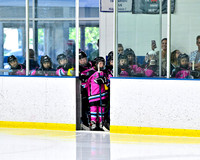Lake County Venom vs Nice Hockey