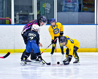 Glenview Prodigies vs Banana Benders