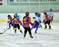 Pucks For A Purpose vs Nice Hockey