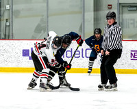 Bowfin vs Chicago FD