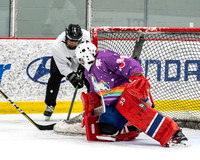 Vertex Properties vs Ice Unicorns
