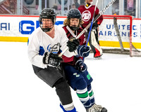 Active Stick vs Grease Lakes Home