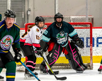 Waukegan FD vs Ice Benders