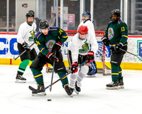 Waukegan FD vs Guardians