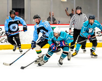 Mighty Nerds vs River Dogs Dads
