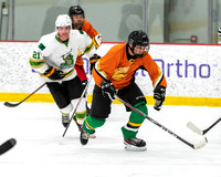 Rubber Puckies vs Guardians C3