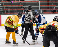 Chicago Puck-o-holics vs Hamburglars