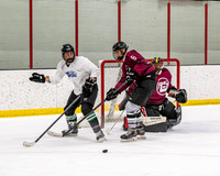 Active Stick vs Chicago Drones