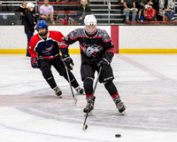 West Michigan Special Hockey vs Windy City Hyenas