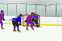 12:30pm Riverhorse vs Spectrum Skaters