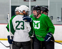 Ducks Vs Goon Squad