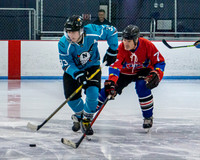 Habs for Autism vs Mighty Nerds