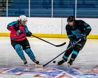 Motley Slew vs Mighty Pucks D