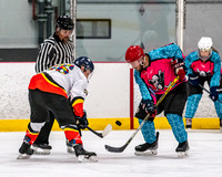 Allegedly vs Mighty Pucks D