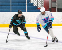 Motley Slew vs Free Agents