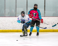 Mighty Pucks D vs Free Agents